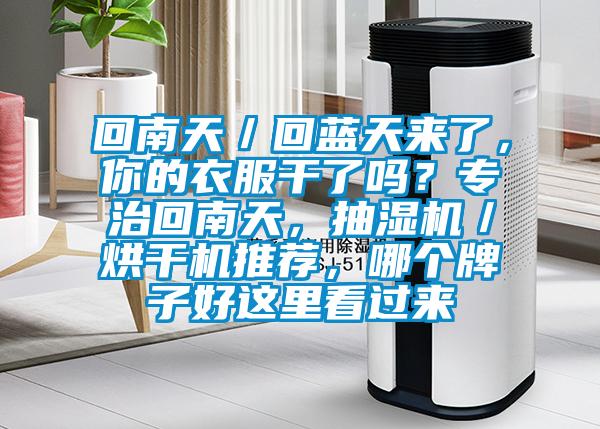 回南天／回藍(lán)天來了，你的衣服干了嗎？專治回南天，抽濕機(jī)／烘干機(jī)推薦，哪個(gè)牌子好這里看過來