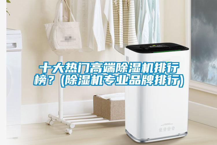 十大熱門高端除濕機排行榜？(除濕機專業(yè)品牌排行)