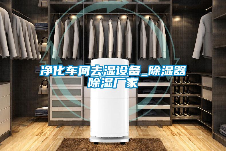 凈化車(chē)間去濕設(shè)備_除濕器除濕廠家