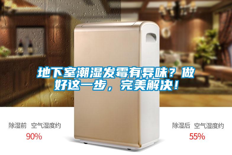 地下室潮濕發(fā)霉有異味？做好這一步，完美解決！