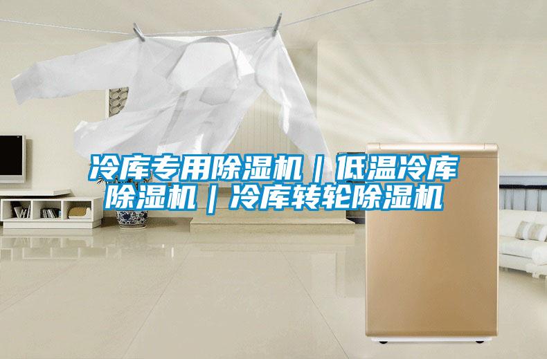 冷庫專用除濕機(jī)｜低溫冷庫除濕機(jī)｜冷庫轉(zhuǎn)輪除濕機(jī)