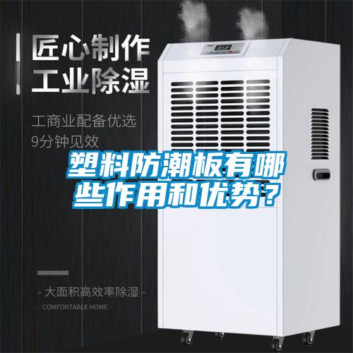 塑料防潮板有哪些作用和優(yōu)勢(shì)？