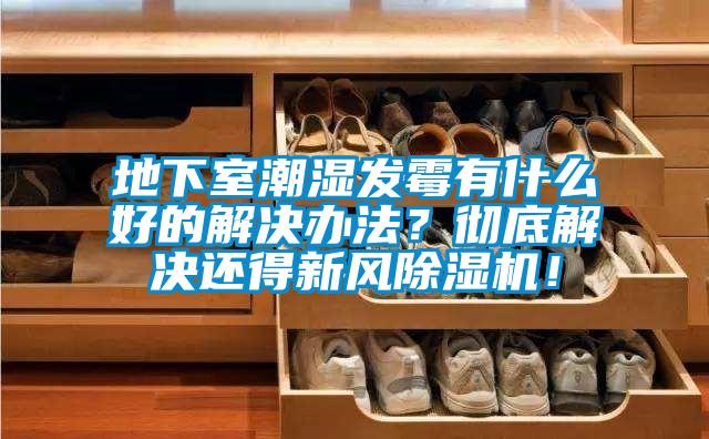 地下室潮濕發(fā)霉有什么好的解決辦法？徹底解決還得新風(fēng)除濕機(jī)！