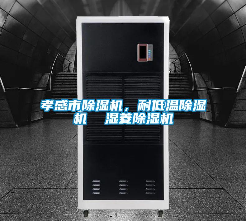 孝感市除濕機，耐低溫除濕機  濕菱除濕機
