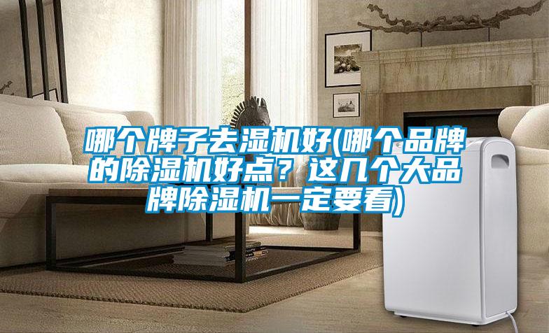 哪個(gè)牌子去濕機(jī)好(哪個(gè)品牌的除濕機(jī)好點(diǎn)？這幾個(gè)大品牌除濕機(jī)一定要看)