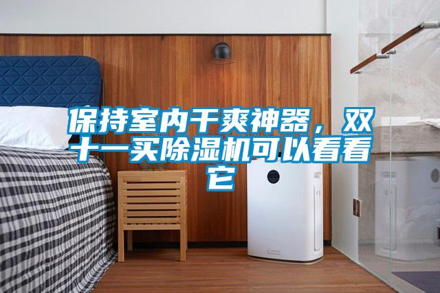 保持室內(nèi)干爽神器，雙十一買(mǎi)除濕機(jī)可以看看它