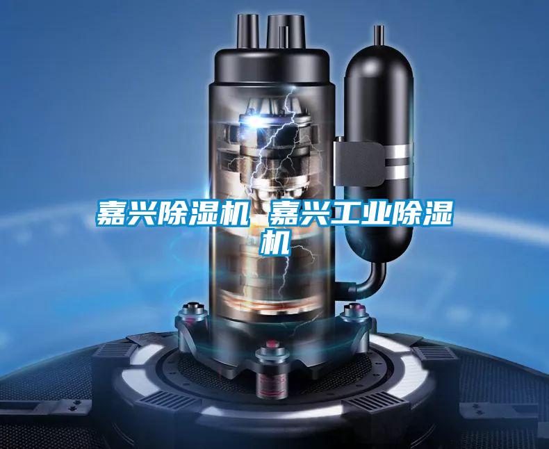 嘉興除濕機 嘉興工業(yè)除濕機
