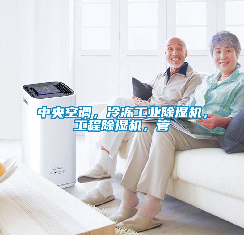 中央空調(diào)，冷凍工業(yè)除濕機(jī)，工程除濕機(jī)，管