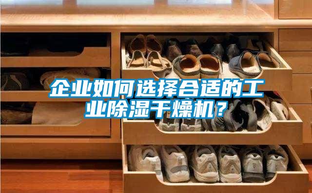 企業(yè)如何選擇合適的工業(yè)除濕干燥機？