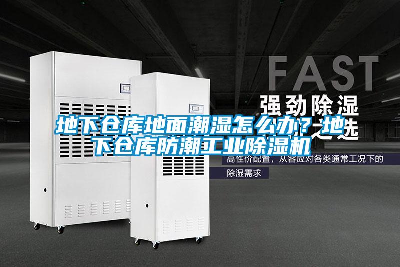 地下倉庫地面潮濕怎么辦？地下倉庫防潮工業(yè)除濕機(jī)