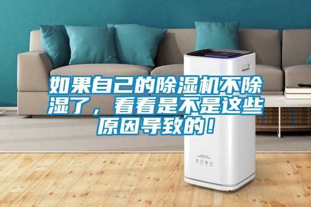 如果自己的除濕機不除濕了，看看是不是這些原因?qū)е碌模?></div>
								<div   id=