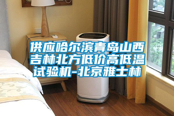 供應哈爾濱青島山西吉林北方低價高低溫試驗機-北京雅士林