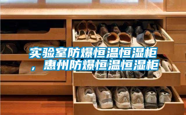 實驗室防爆恒溫恒濕柜，惠州防爆恒溫恒濕柜