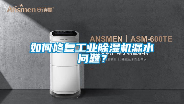 如何修復(fù)工業(yè)除濕機(jī)漏水問題？