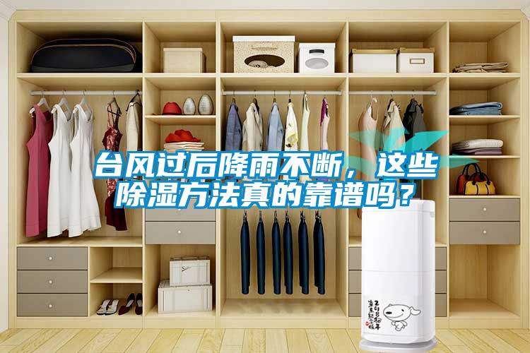 臺(tái)風(fēng)過(guò)后降雨不斷，這些除濕方法真的靠譜嗎？