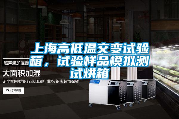 上海高低溫交變?cè)囼?yàn)箱，試驗(yàn)樣品模擬測(cè)試烘箱