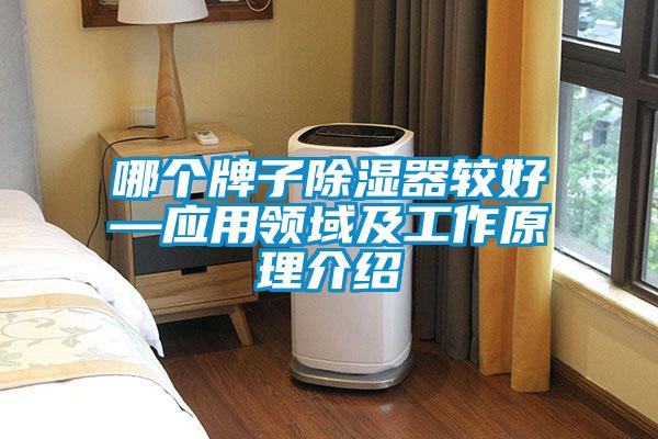 哪個(gè)牌子除濕器較好—應(yīng)用領(lǐng)域及工作原理介紹