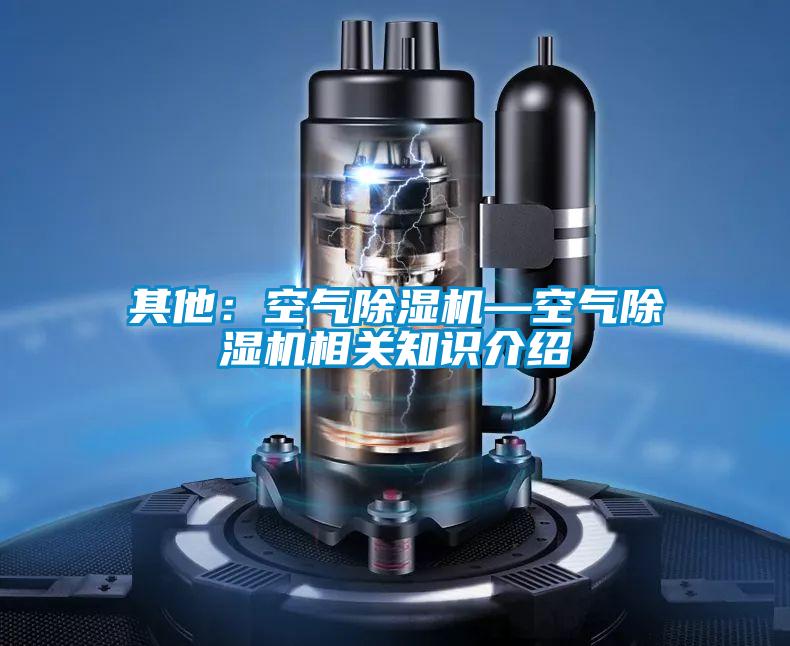 其他：空氣除濕機(jī)—空氣除濕機(jī)相關(guān)知識介紹