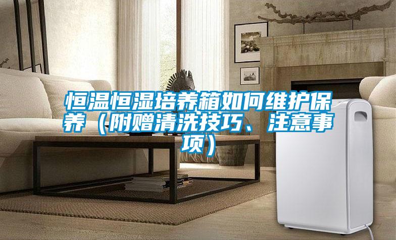 恒溫恒濕培養(yǎng)箱如何維護(hù)保養(yǎng)（附贈清洗技巧、注意事項(xiàng)）