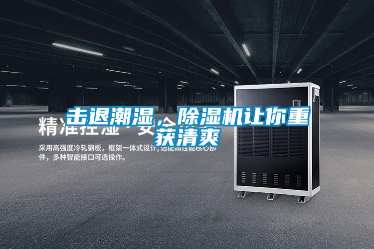 擊退潮濕，除濕機(jī)讓你重獲清爽