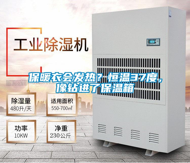 保暖衣會發(fā)熱？恒溫37度，像鉆進了保溫箱