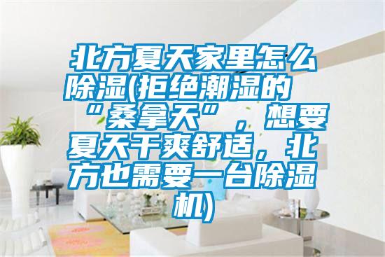 北方夏天家里怎么除濕(拒絕潮濕的“桑拿天”，想要夏天干爽舒適，北方也需要一臺除濕機)