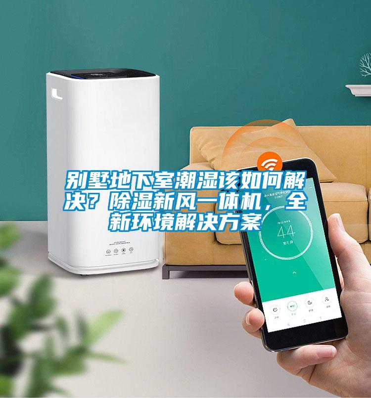 別墅地下室潮濕該如何解決？除濕新風(fēng)一體機(jī)，全新環(huán)境解決方案