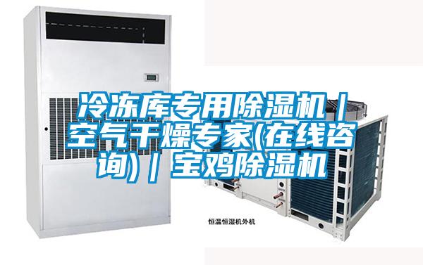 冷凍庫(kù)專(zhuān)用除濕機(jī)｜空氣干燥專(zhuān)家(在線咨詢(xún))｜寶雞除濕機(jī)