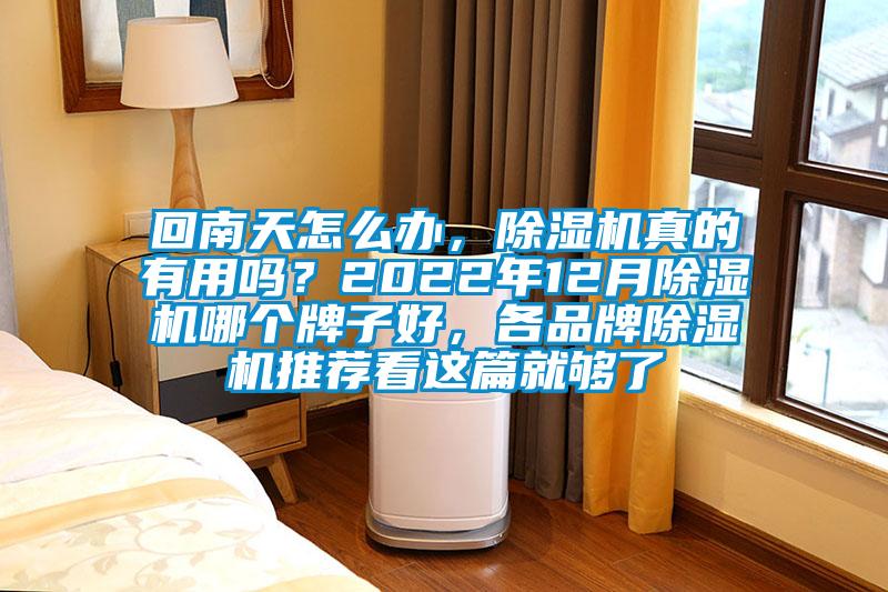 回南天怎么辦，除濕機(jī)真的有用嗎？2022年12月除濕機(jī)哪個(gè)牌子好，各品牌除濕機(jī)推薦看這篇就夠了