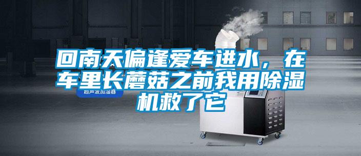 回南天偏逢愛(ài)車(chē)進(jìn)水，在車(chē)?yán)镩L(zhǎng)蘑菇之前我用除濕機(jī)救了它