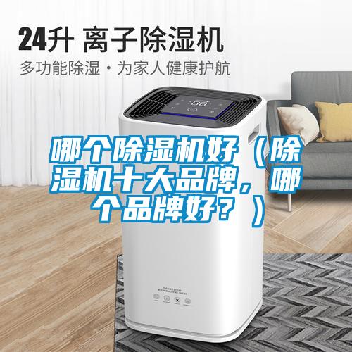 哪個除濕機(jī)好（除濕機(jī)十大品牌，哪個品牌好？）