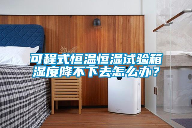 可程式恒溫恒濕試驗(yàn)箱濕度降不下去怎么辦？