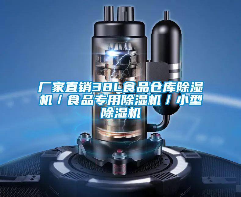 廠家直銷(xiāo)38L食品倉(cāng)庫(kù)除濕機(jī)／食品專(zhuān)用除濕機(jī)／小型除濕機(jī)