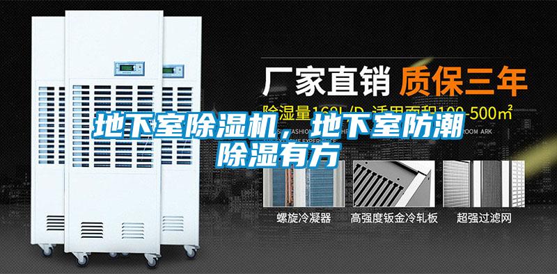 地下室除濕機(jī)，地下室防潮除濕有方