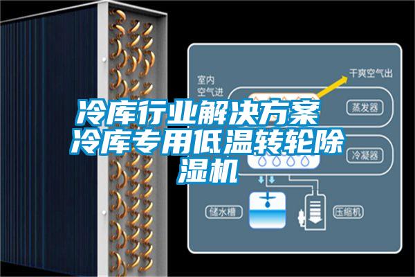 冷庫行業(yè)解決方案 冷庫專用低溫轉(zhuǎn)輪除濕機(jī)