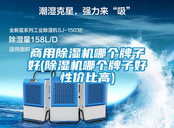 商用除濕機(jī)哪個(gè)牌子好(除濕機(jī)哪個(gè)牌子好性?xún)r(jià)比高)
