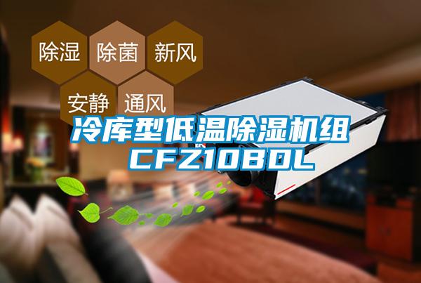冷庫型低溫除濕機(jī)組 CFZ10BDL