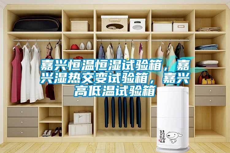 嘉興恒溫恒濕試驗(yàn)箱，嘉興濕熱交變?cè)囼?yàn)箱，嘉興高低溫試驗(yàn)箱