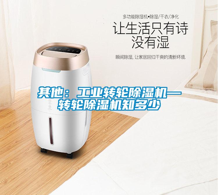 其他：工業(yè)轉(zhuǎn)輪除濕機—轉(zhuǎn)輪除濕機知多少