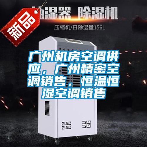 廣州機房空調(diào)供應(yīng)，廣州精密空調(diào)銷售，恒溫恒濕空調(diào)銷售