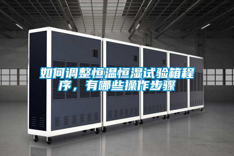 如何調(diào)整恒溫恒濕試驗箱程序，有哪些操作步驟
