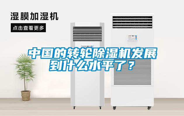 中國的轉(zhuǎn)輪除濕機(jī)發(fā)展到什么水平了？