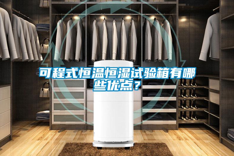 可程式恒溫恒濕試驗(yàn)箱有哪些優(yōu)點(diǎn)？