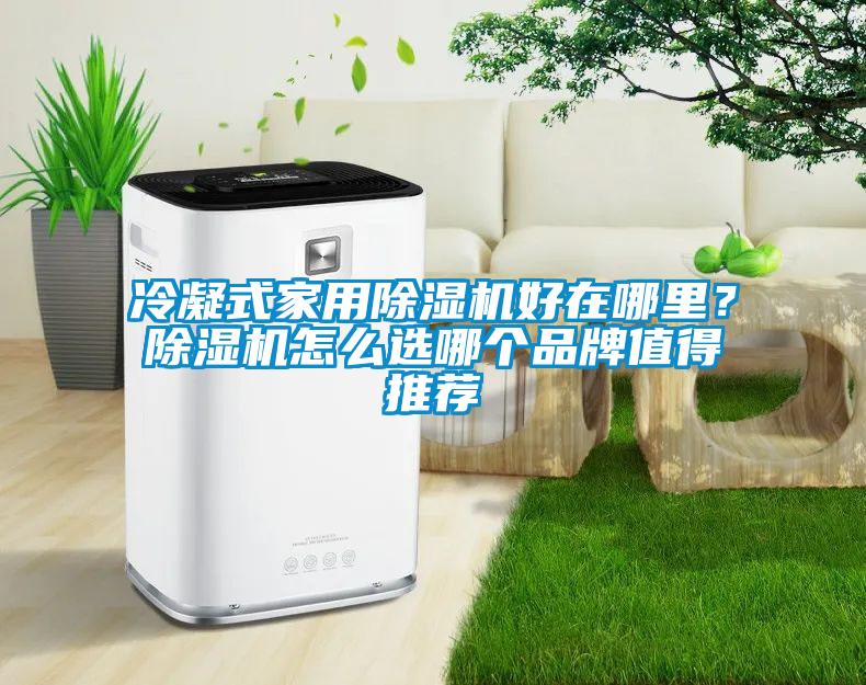 冷凝式家用除濕機好在哪里？除濕機怎么選哪個品牌值得推薦