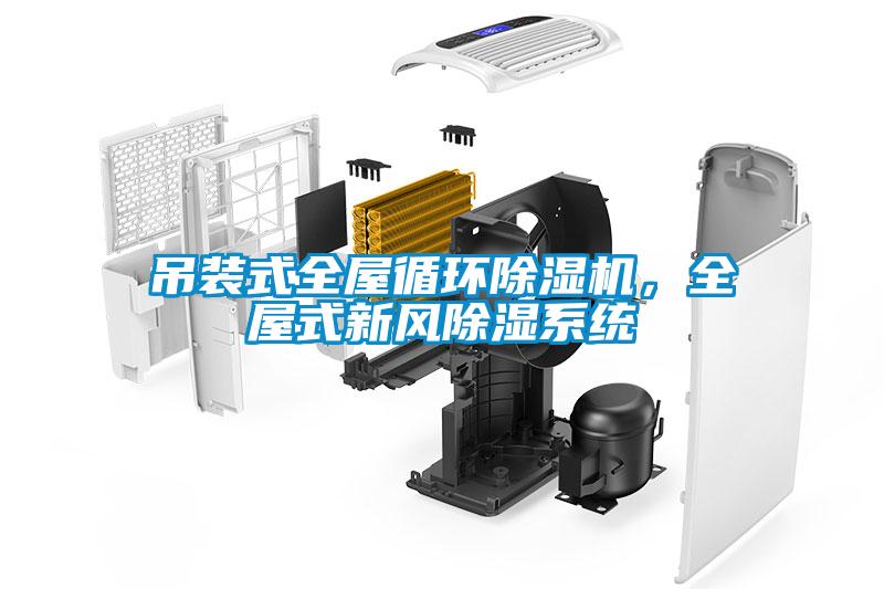 吊裝式全屋循環(huán)除濕機，全屋式新風除濕系統(tǒng)