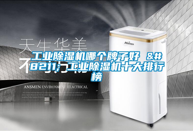 工業(yè)除濕機哪個牌子好 – 工業(yè)除濕機十大排行榜