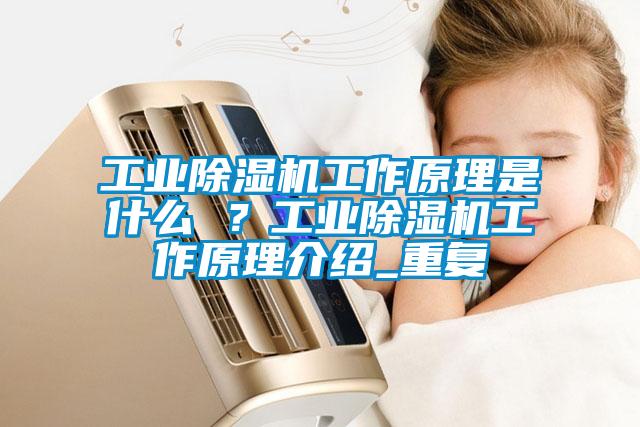 工業(yè)除濕機工作原理是什么 ？工業(yè)除濕機工作原理介紹_重復