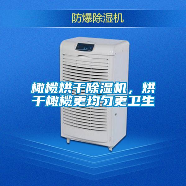橄欖烘干除濕機，烘干橄欖更均勻更衛(wèi)生