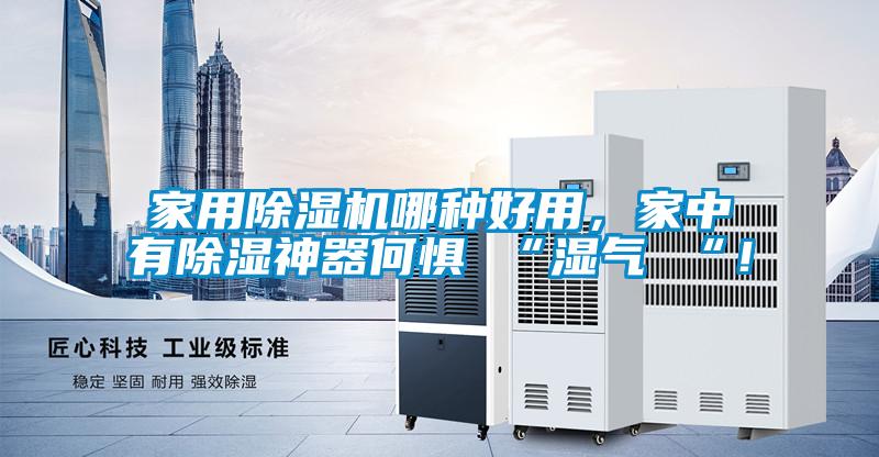 家用除濕機哪種好用，家中有除濕神器何懼 “濕氣 “！