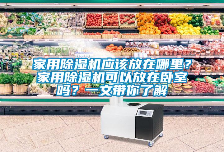 家用除濕機(jī)應(yīng)該放在哪里？家用除濕機(jī)可以放在臥室嗎？一文帶你了解